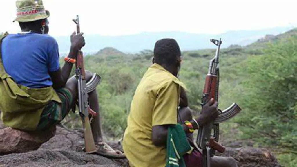 Gunmen bandits terrorists