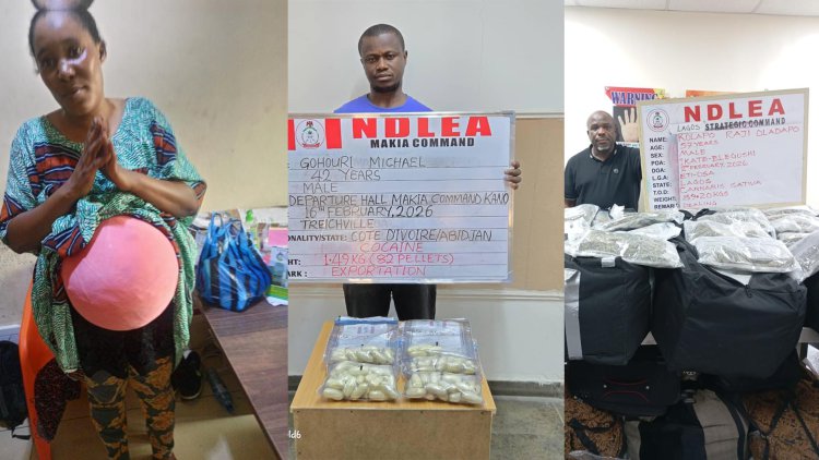NDLEA busts woman with drugs in fake pregnancy as Ivorian excretes 82 cocaine wraps at Kano airport