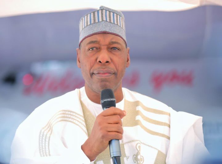 Borno State Governor, Babagana Zulum