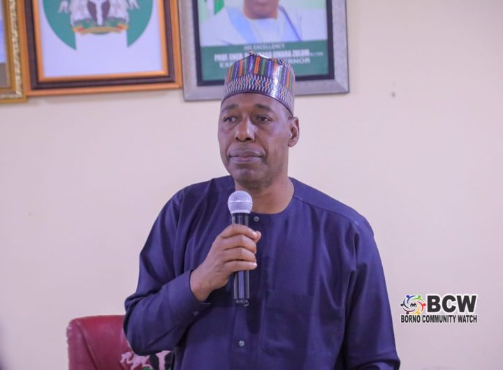 Zulum begs for forgiveness, urges politics without bitterness