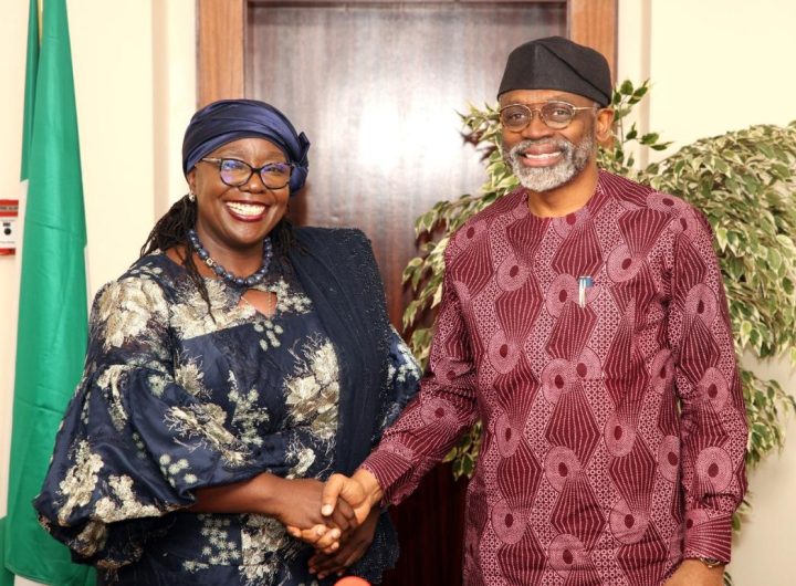 FG lauds UNDP, seeks collaboration for development