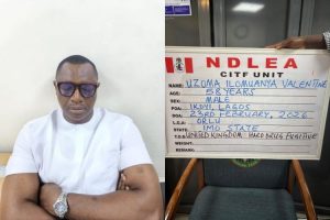 NDLEA arrests fugitive drug lord wanted in UK after 15 years on the run​