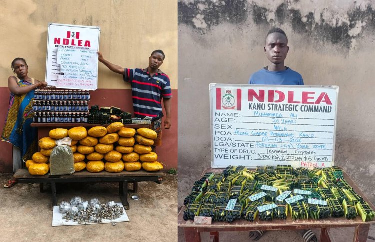 NDLEA intercepts 500 IED components in Niger State, arrests Cameroonian with ‘Colorado’ Cannabis in Kog