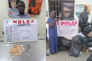 NDLEA arrests drugt rafficking