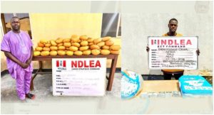 NDLEA arrests ex Lagos council chief for drug traffickin