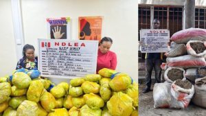 NDLEA intercepts large cocaine consignment concealed in heads of dry stock fish