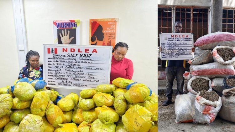 NDLEA intercepts large cocaine consignment concealed in heads of dry stock fish 2 NDLEA intercepts large cocaine consignment concealed in heads of dry stock fish