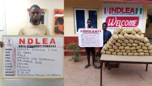 NDLEA intercepts large cocaine consignment concealed in heads of dry stock fish