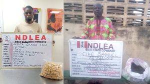NDLEA intercepts large cocaine consignment concealed in heads of dry stock fish