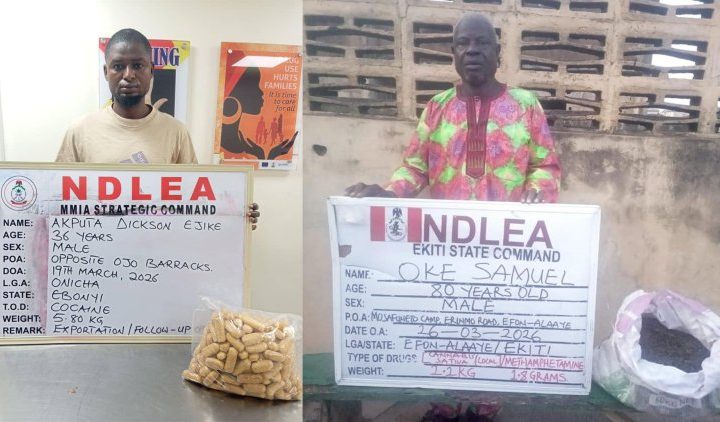 NDLEA intercepts large cocaine consignment concealed in heads of dry stock fish