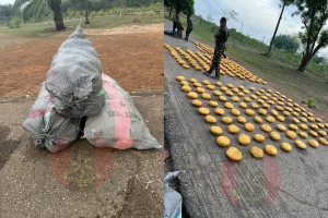 Illicit drugs intercepted by troops in Ogun State