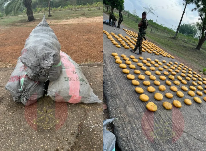 Illicit drugs intercepted by troops in Ogun State