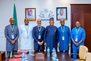 Shettima lauds Gates Foundation's sustained investments in Nigeria