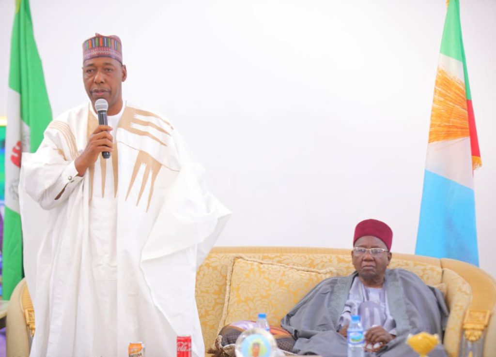 Zulum pledges jobs, skills training for Borno youth