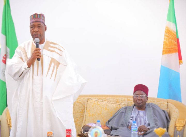 Zulum pledges jobs, skills training for Borno youth