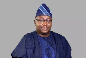 minister of power Adelabu