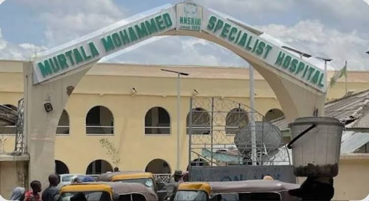 Joy turns to sorrow in Kano as mother dies hours after delivering quintuplets 2 Kano mother dies hours after delivering quintuplets