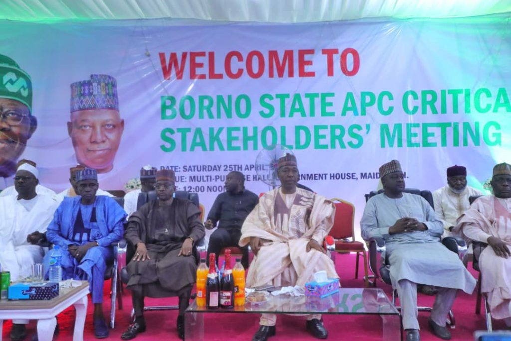 Borno APC endorses Tinubu, Shettima for 2027