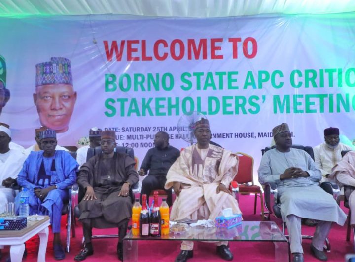 Borno APC endorses Tinubu, Shettima for 2027