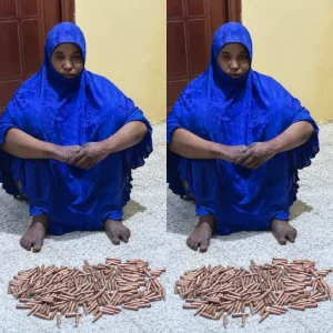 DSS intercepts ammunition courier, disrupts bandits' supply chain