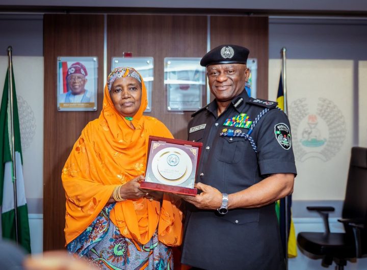 IGP Disu pledges support for NAPTIP in combating human trafficking, organized crime