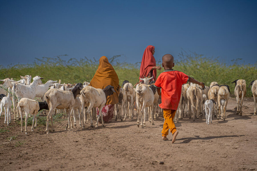 How the Mideast crisis is deepening hunger far beyond the front lines 2 Middle east 2
