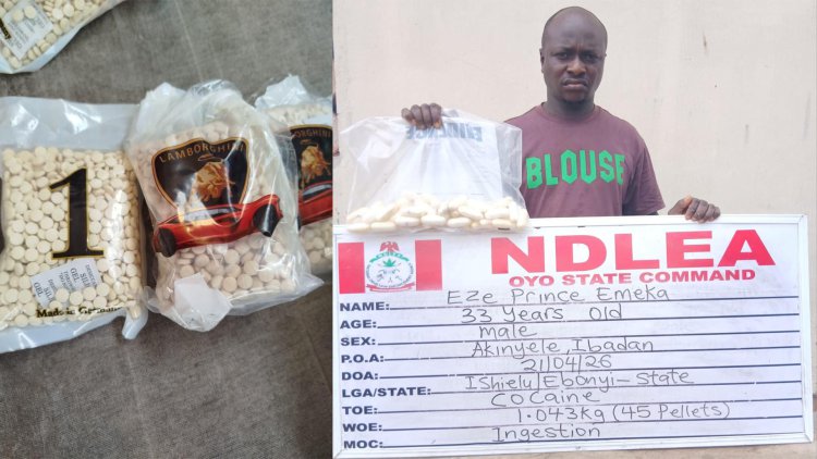 https://nationalaccordnewspaper.com/ndlea-intercepts-terror-drug-captagon-in-kwara-as-businessman-excretes-45-cocaine-wraps/
