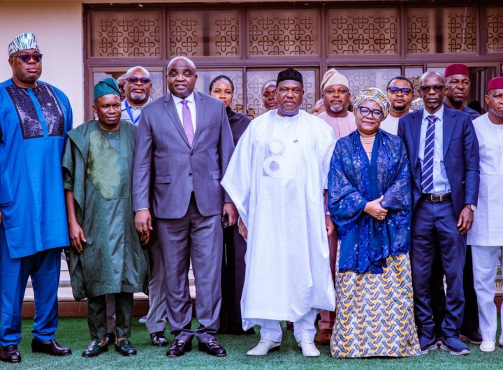 SGF inaugurates technical committee to review $200 billion