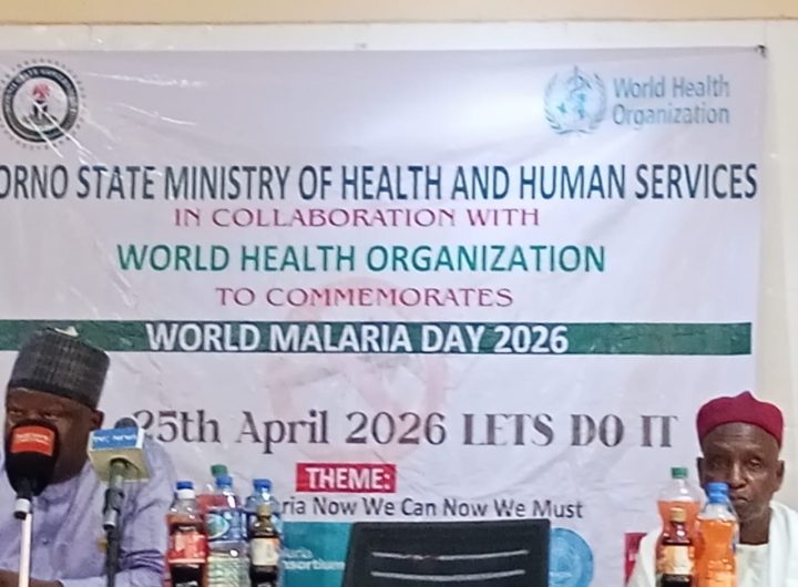 World Malaria Day 2026: Borno, WHO intensify fight with free treatment, outreach to hard-to-reach communities