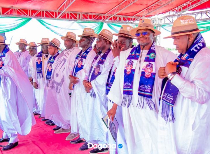 2027: Yobe LG chairmen endorse Wali as APC governorship candidate 