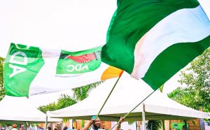 ADC flags