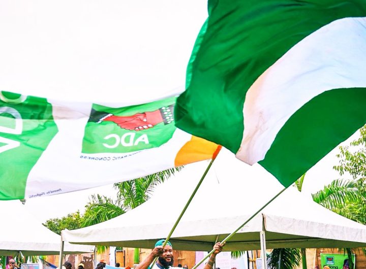 ADC flags