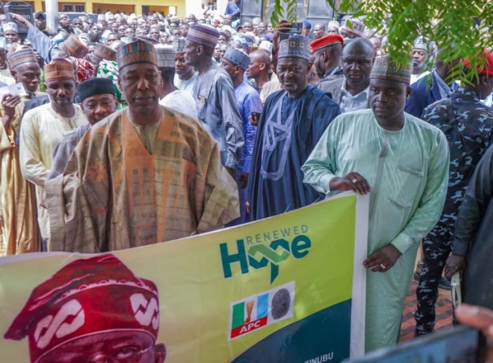 APC primary: Tinubu wins 100% in Zulum’s ward