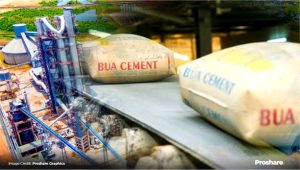 BUA Cement forecasts price drop, plans expansion as FX stability cuts costs