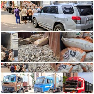 Illegal mining: Court orders final forfeiture of mining site, trucks, lithium stones to FG