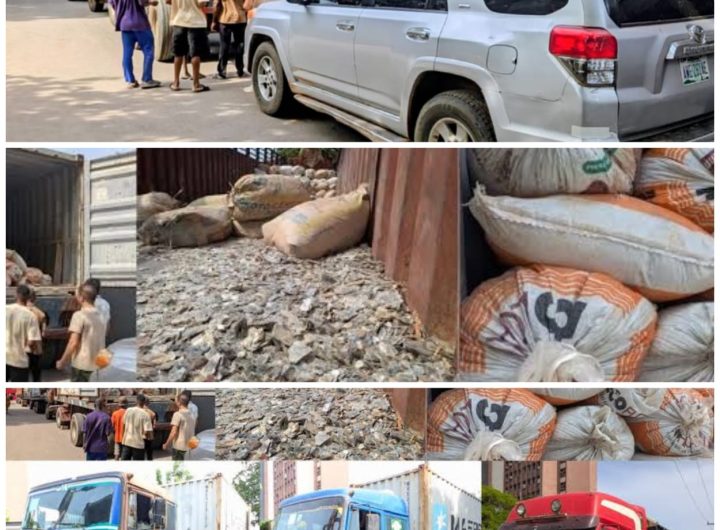 Illegal mining: Court orders final forfeiture of mining site, trucks, lithium stones to FG
