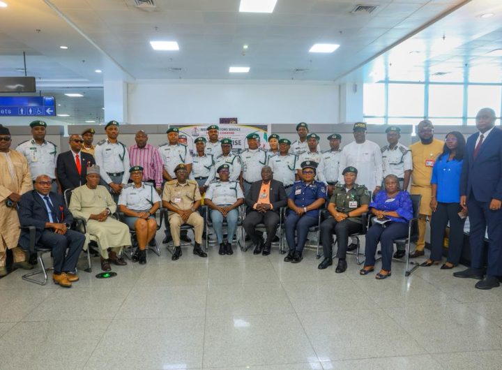 Customs launches smart declaration platform to end airport delays