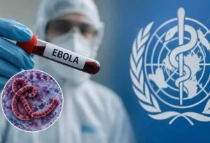 Ebola virus