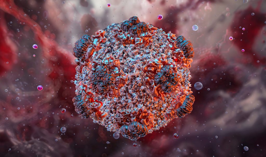 WHO warns more Hantavirus cases may emerge after MV Hondius evacuation 2 Hantavirus