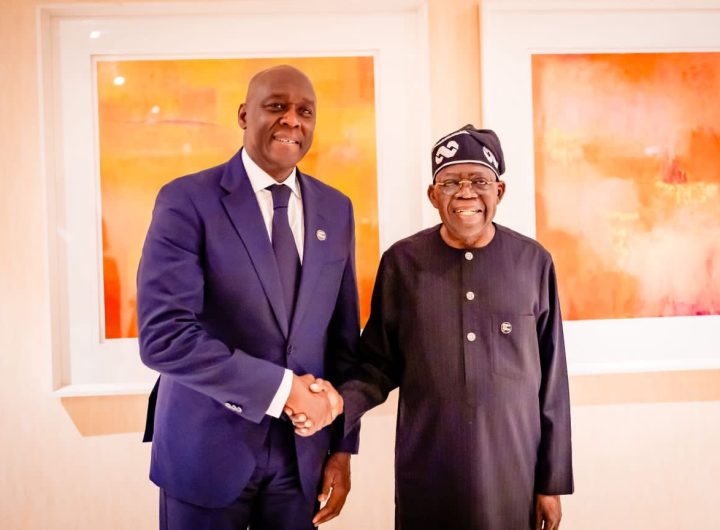 IFC sending a team to Nigeria to explore scalable investment in livestock, energy, housing
