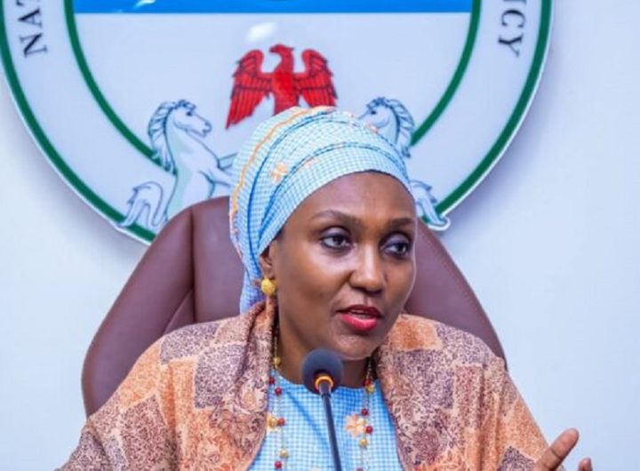 NEMA DG Zubaida Umar