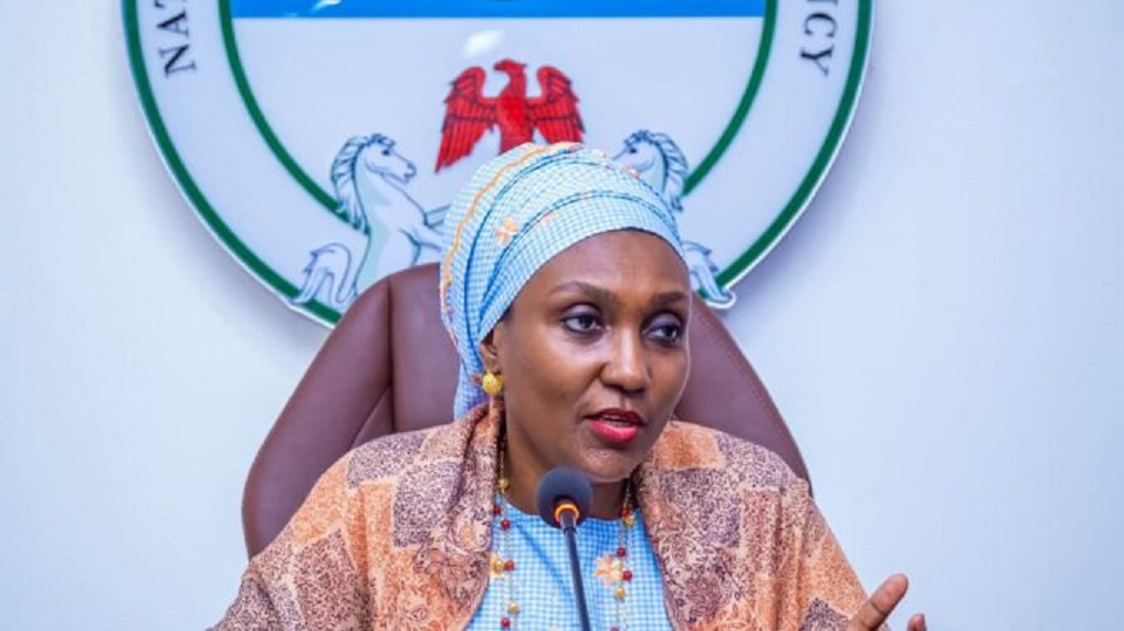 NEMA DG Zubaida Umar