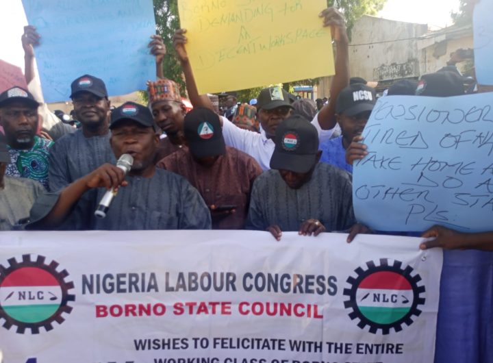 NLC issues 14-day ultimatum to Borno Govt over unpaid salaries, pensions, threatens strike
