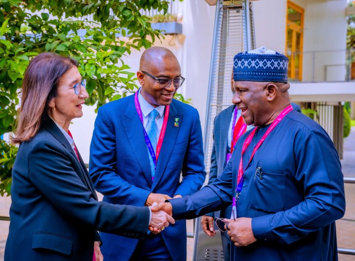 NNPC calls for stronger African-led financing to unlock continent’s vast gas potentials