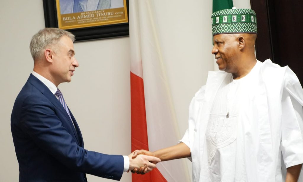 Nigeria, Poland explore strategic partnership on digital economy, defence, others