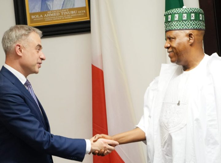 Nigeria, Poland explore strategic partnership on digital economy, defence, others