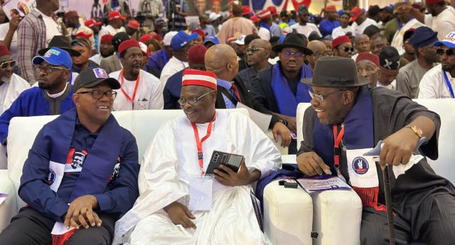 NDC zones 2027 Presidential ticket to South, reserves 2031 for North 2 Obi and Kwankwaso 6