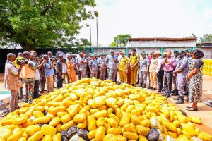 Ogun I Customs hits cross-border smugglers, hands over seized cannabis to NDLEA