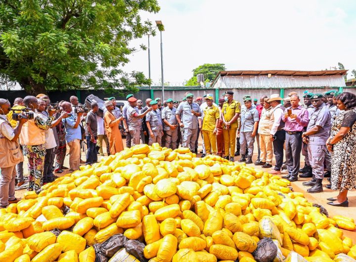 Ogun I Customs hits cross-border smugglers, hands over seized cannabis to NDLEA
