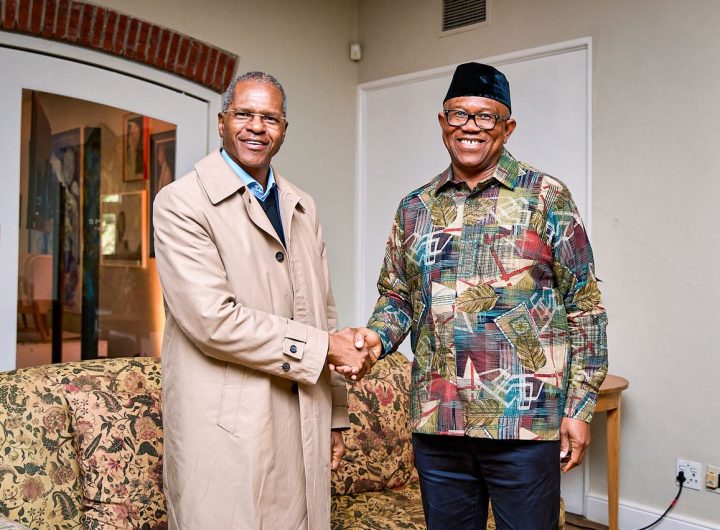 Peter Obi meets South African Ministers, calls for unity, peaceful coexistence amid rising immigration tensions
